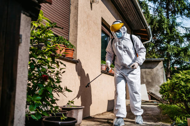 Best Affordable Pest Control Services  in Starkville, MS