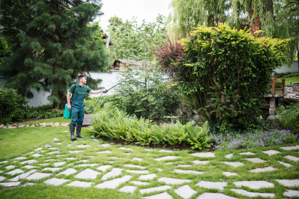 Best Pest Removal Services  in Starkville, MS