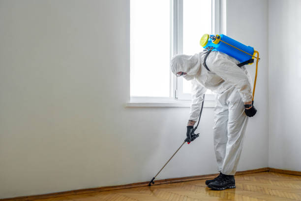 Best Wasp Removal Services  in Starkville, MS