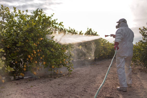 Best Commercial Pest Control Services  in Starkville, MS