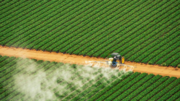 Professional Pest Control in Starkville, MS