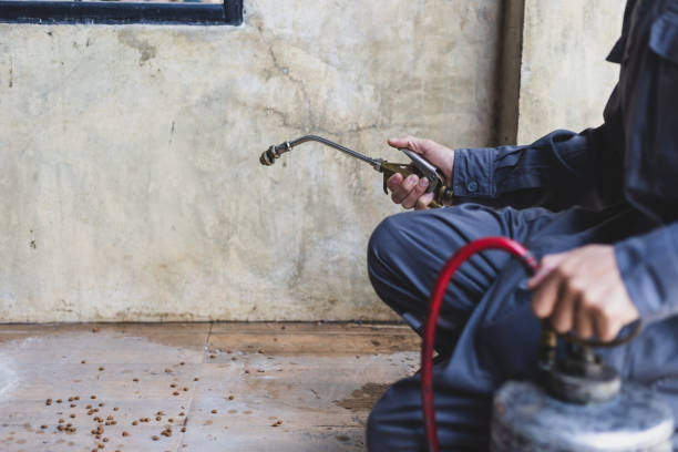 Best Pest Inspection Near Me  in Starkville, MS